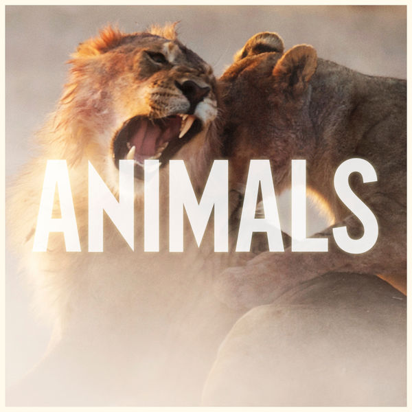 Maroon 5 – Animals(16Bit-44.1kHz)-OppsUpro音乐帝国