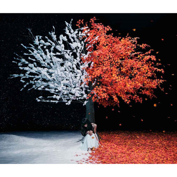 Aimer – Akane Sasu Everlasting Snow(16Bit-44.1kHz)-OppsUpro音乐帝国