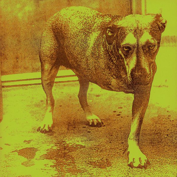 Alice In Chains – Alice In Chains(16Bit-44.1kHz)-OppsUpro音乐帝国