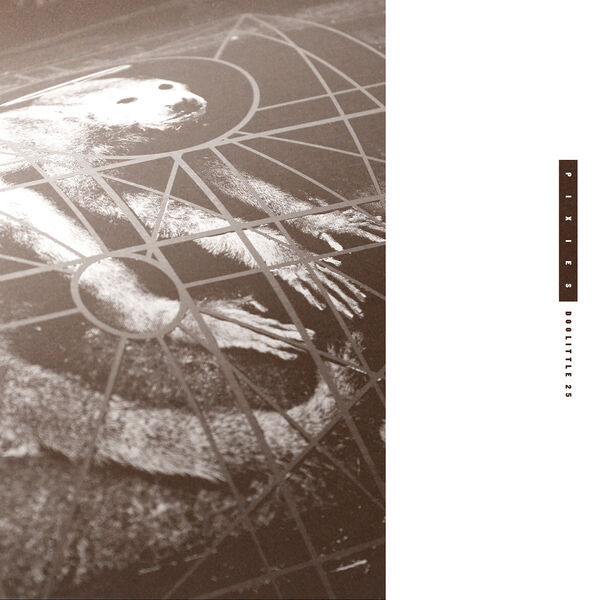 Pixies – Doolittle 25 B-Sides, Peel Sessions And Demos(16Bit-44.1kHz)-OppsUpro音乐帝国