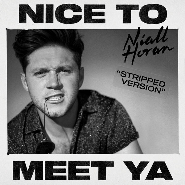 Niall Horan – Nice To Meet Ya (Stripped Version)(24Bit-96kHz)-OppsUpro音乐帝国