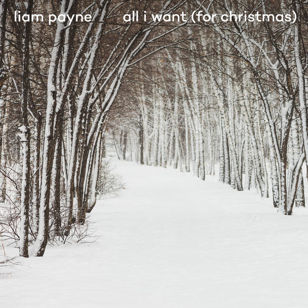 Liam Payne – All I Want (For Christmas)(16Bit-44.1kHz)-OppsUpro音乐帝国