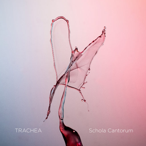 Schola Cantorum – TRACHEA (11.2MHz DSD)-OppsUpro音乐帝国