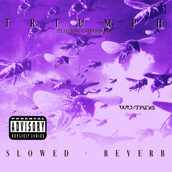 Wu-Tang Clan – Triumph (slowed + reverb)(16Bit-44.1kHz)-OppsUpro音乐帝国