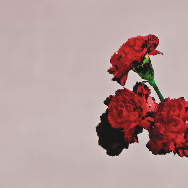 John Legend – Love In The Future (Deluxe Version)(24Bit-44.1kHz)-OppsUpro音乐帝国