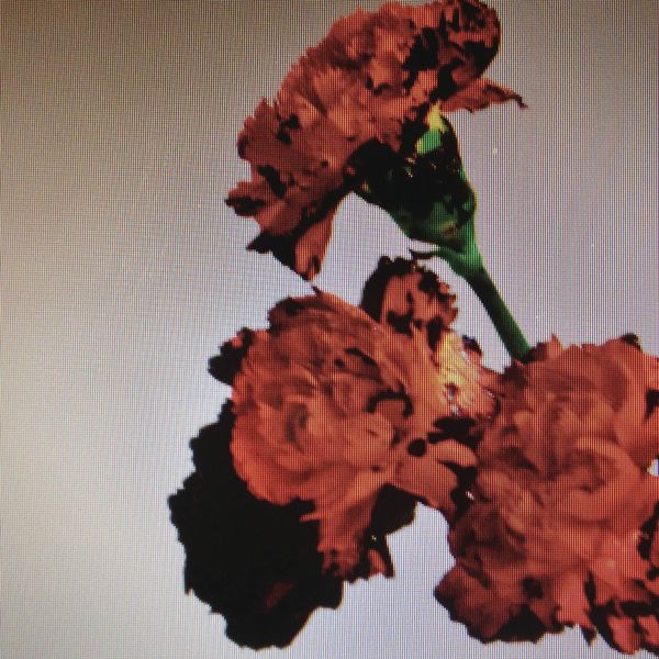 John Legend – Made To Love(16Bit-44.1kHz)-OppsUpro音乐帝国