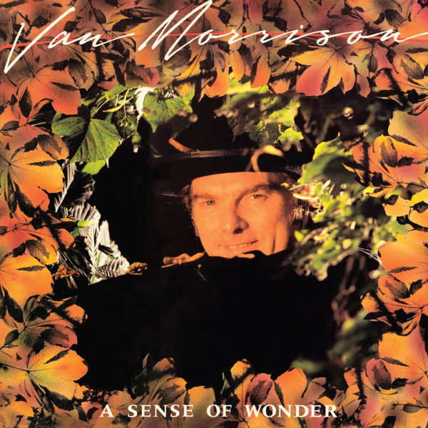 Van Morrison – A Sense of Wonder(24Bit-96kHz)-OppsUpro音乐帝国