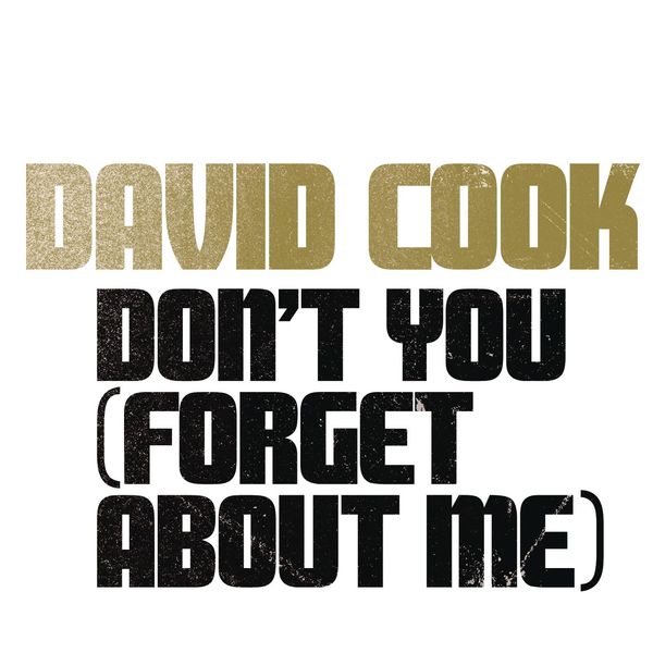 David Cook – Don’t You (Forget About Me)(16Bit-44.1kHz)-OppsUpro音乐帝国