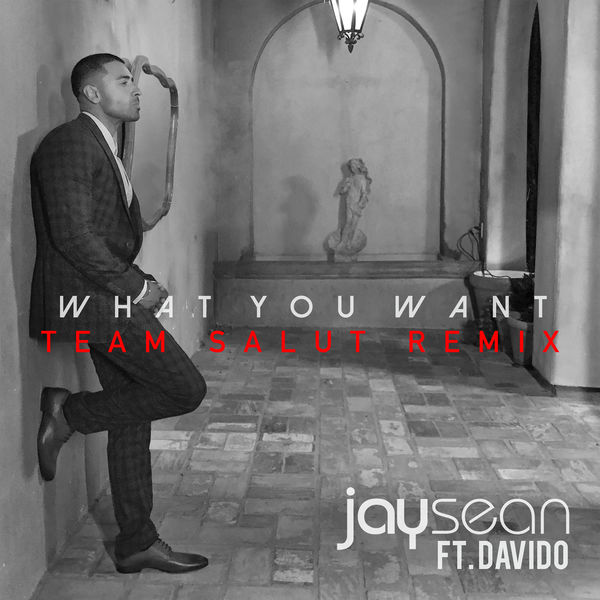 Jay Sean – What You Want (Team Salut Remix)(16Bit-44.1kHz)-OppsUpro音乐帝国