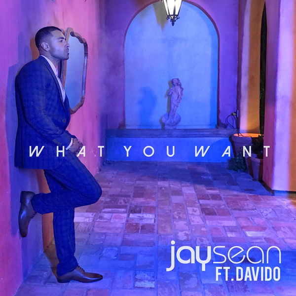 Jay Sean – What You Want(16Bit-44.1kHz)-OppsUpro音乐帝国