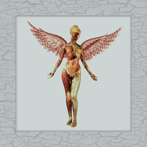 Nirvana – In Utero (30th Anniversary Super Deluxe)(16Bit-44.1kHz)-OppsUpro音乐帝国