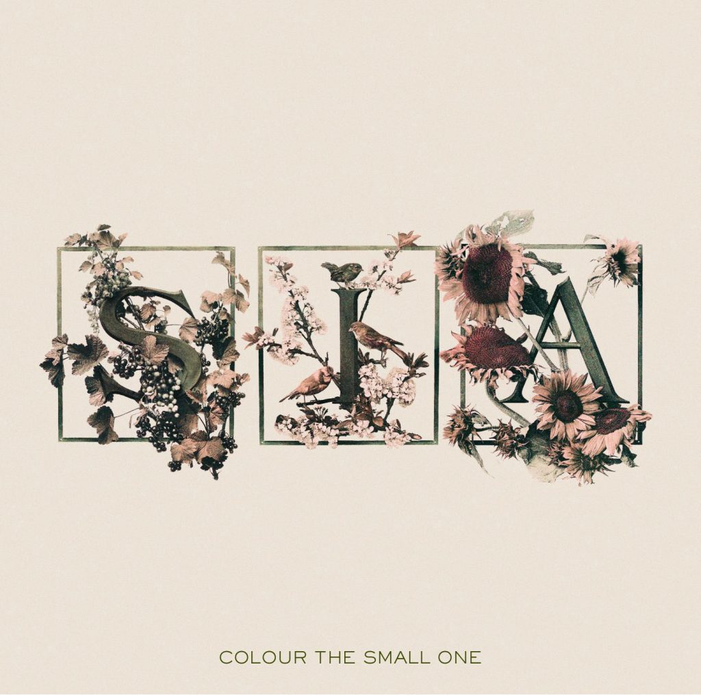 Sia – Colour The Small One【44.1kHz／16bit】卢森堡区-OppsUpro音乐帝国