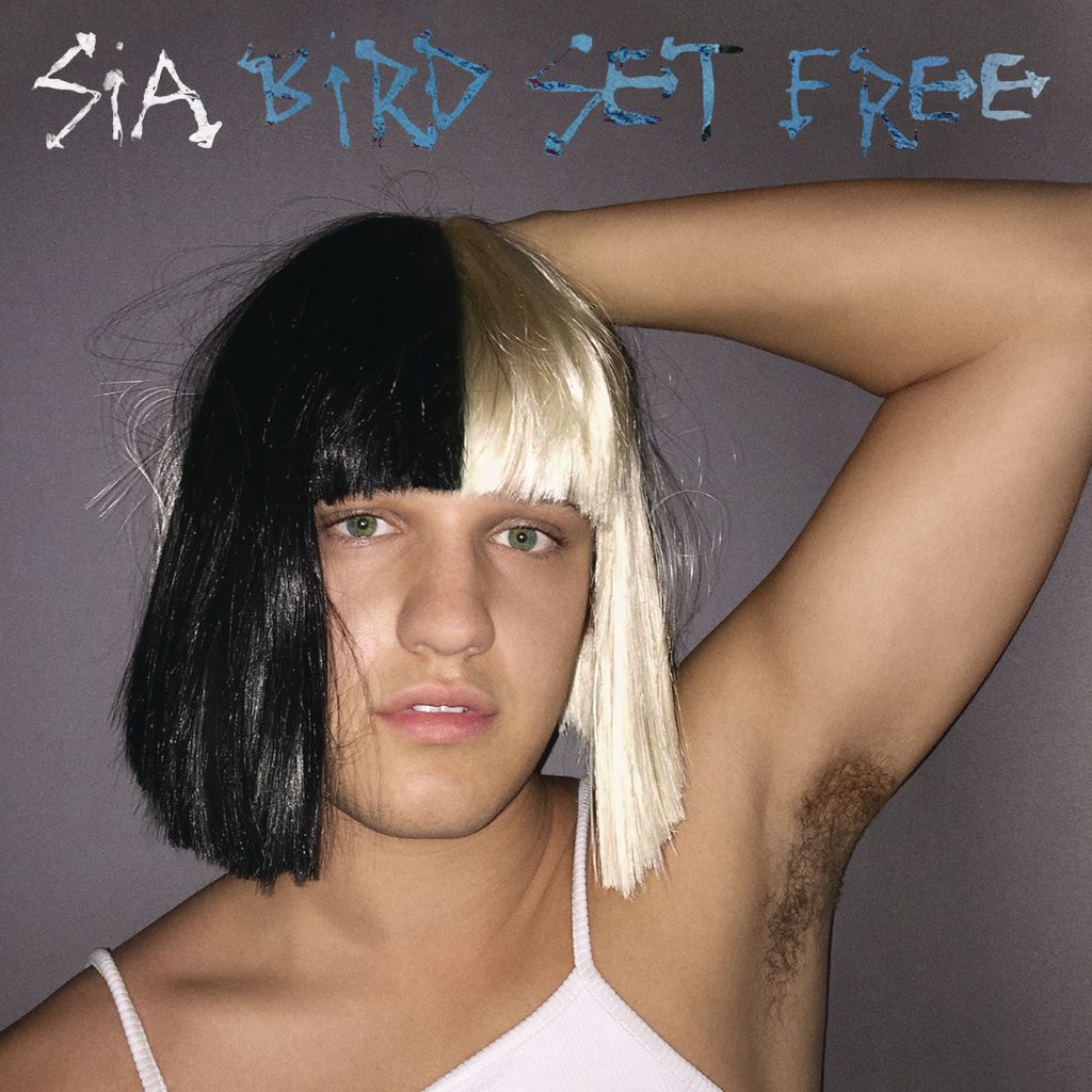 Sia – Bird Set Free【44.1kHz／16bit】卢森堡区-OppsUpro音乐帝国