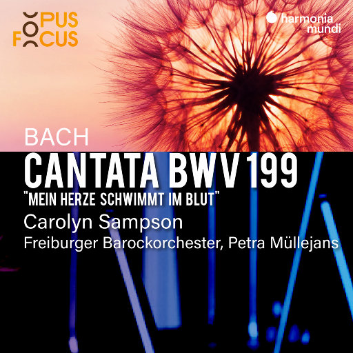 Freiburger Barockorchester,Petra Müllejans,Carolyn Sampson – 巴赫: 康塔塔, BWV 199-OppsUpro音乐帝国