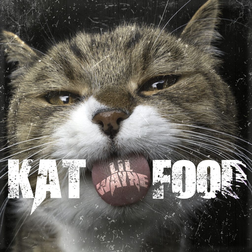 Lil Wayne – Kat Food【44.1kHz／16bit】爱尔兰区-OppsUpro音乐帝国