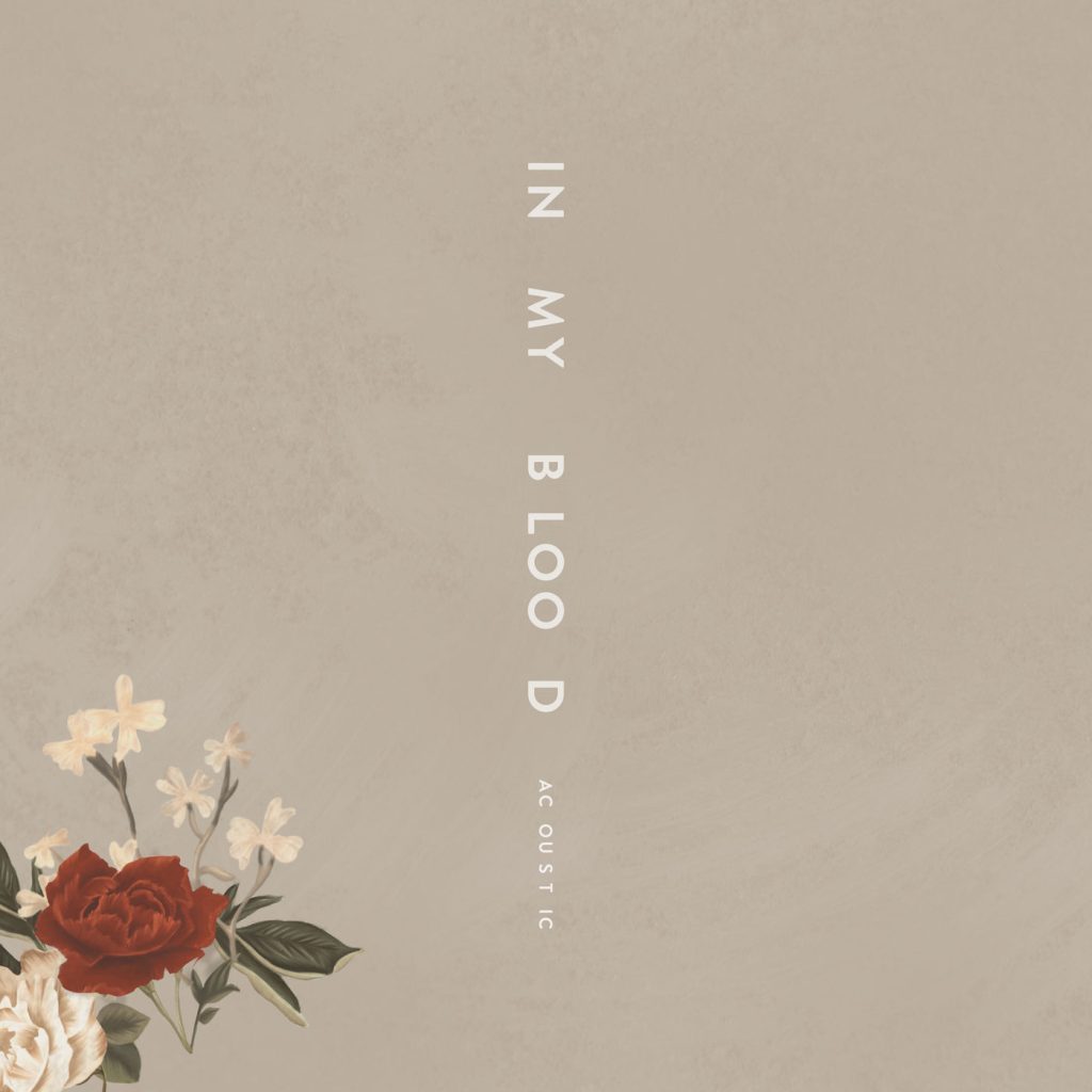 Shawn Mendes – In My Blood (Acoustic)【44.1kHz／16bit】丹麦区-OppsUpro音乐帝国