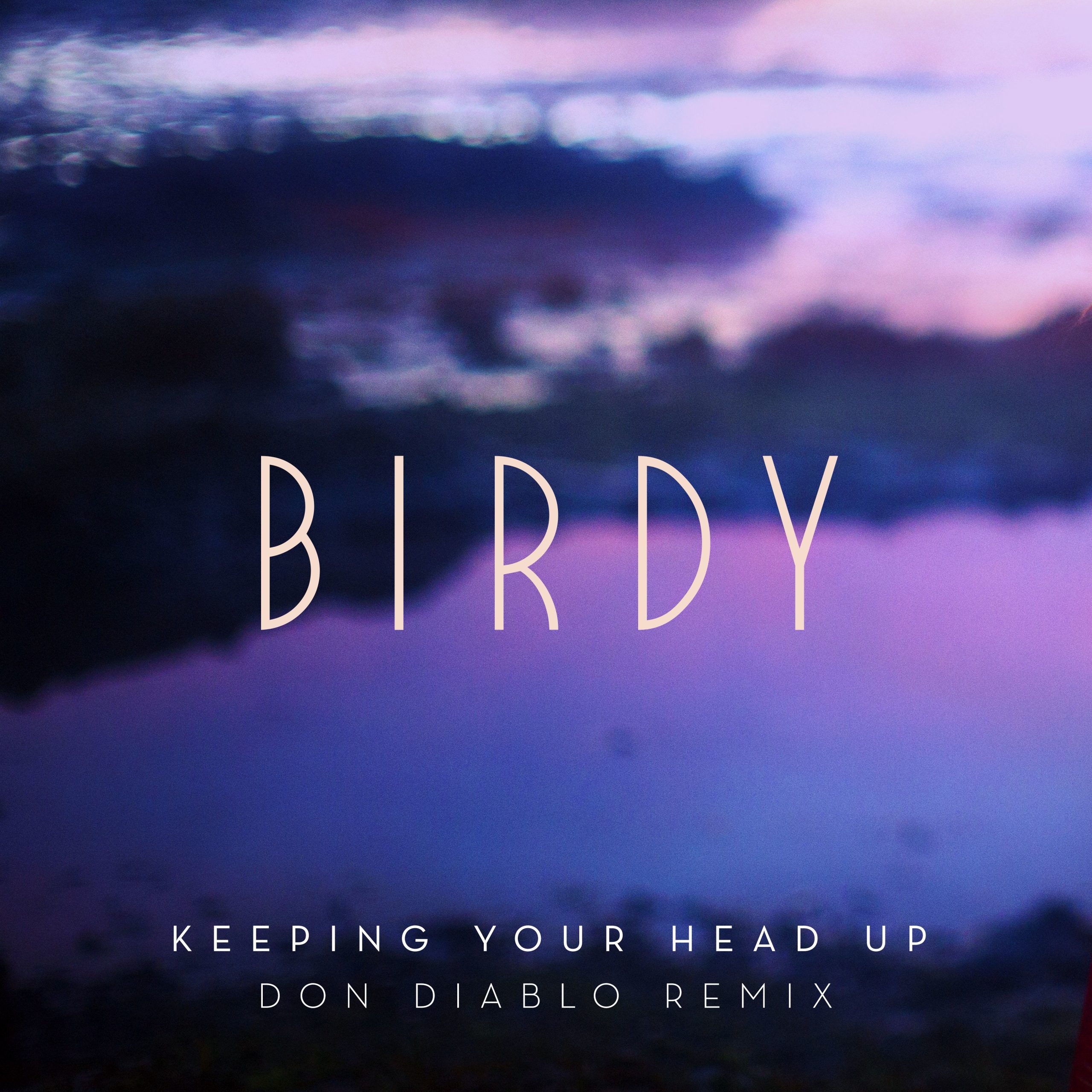 Birdy – Keeping Your Head Up (Don Diablo Remix; Radio Edit)【44.1kHz／16bit】新西兰区-OppsUpro音乐帝国