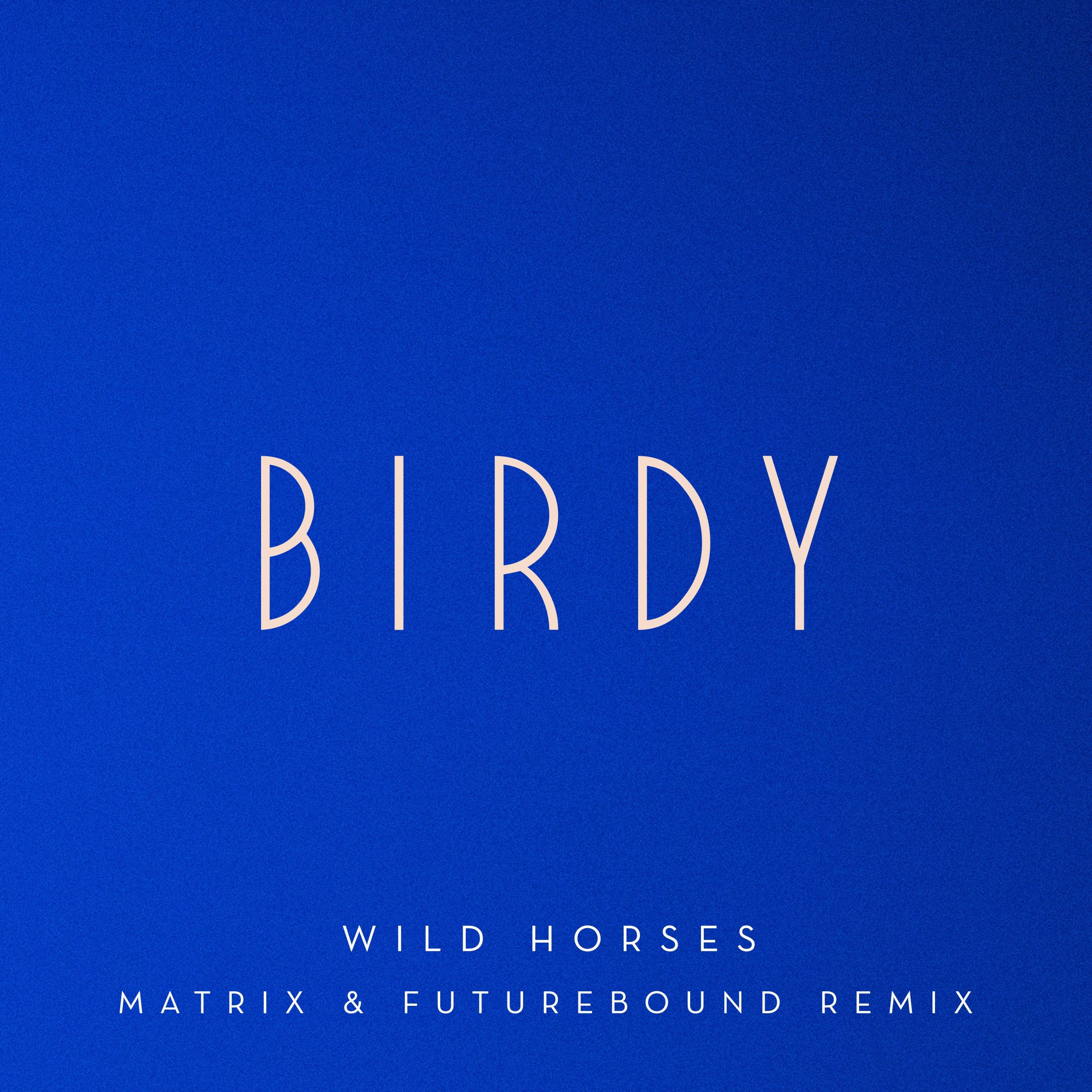 Birdy – Wild Horses (Matrix ＆ Futurebound Remix)【44.1kHz／16bit】新西兰区-OppsUpro音乐帝国