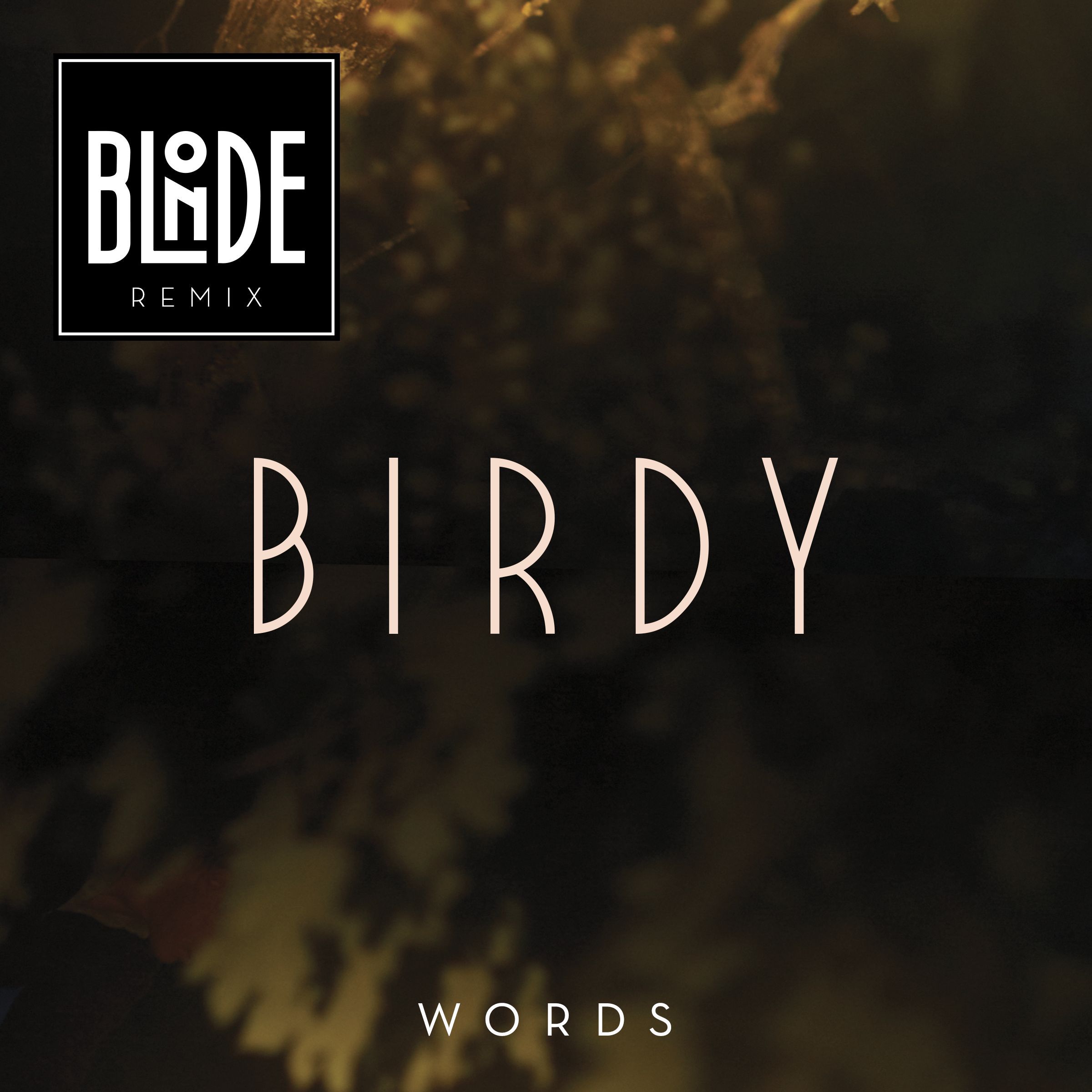 Birdy – Words (Blonde Remix)【44.1kHz／16bit】新西兰区-OppsUpro音乐帝国