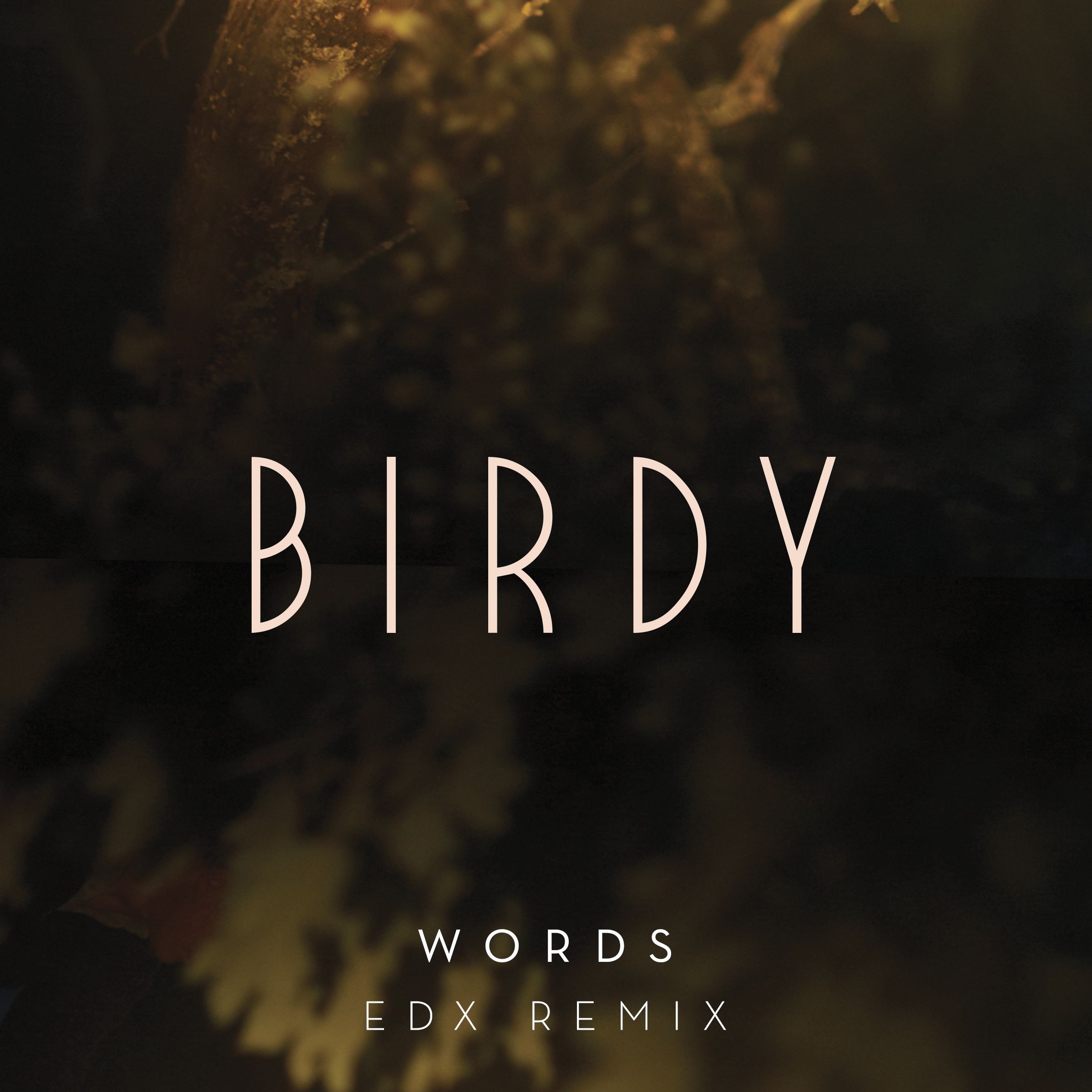 Birdy – Words (EDX Remix)【44.1kHz／16bit】新西兰区-OppsUpro音乐帝国