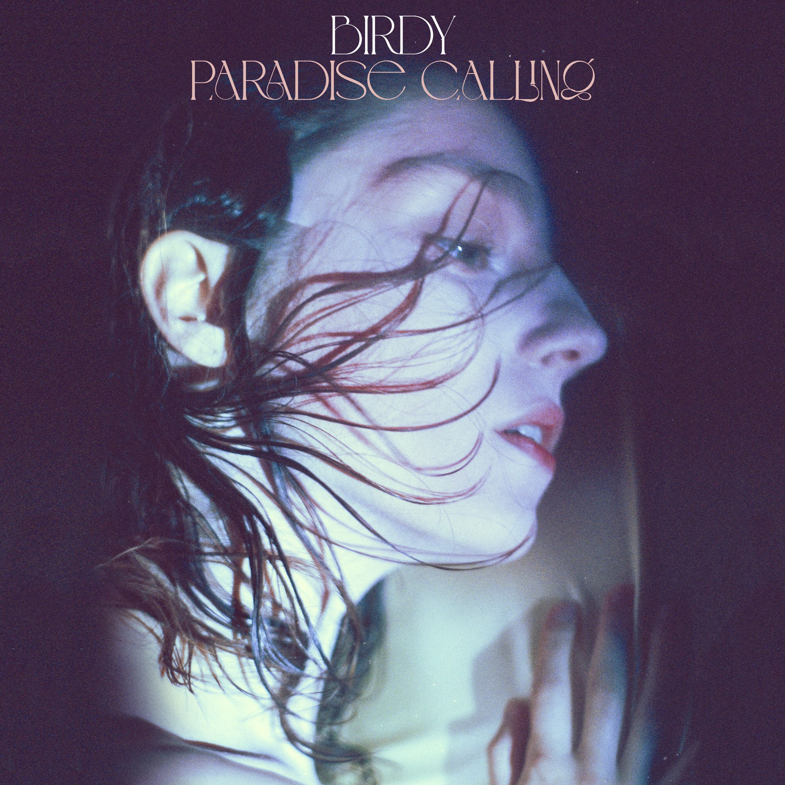 Birdy – Paradise Calling【44.1kHz／24bit】新西兰区-OppsUpro音乐帝国