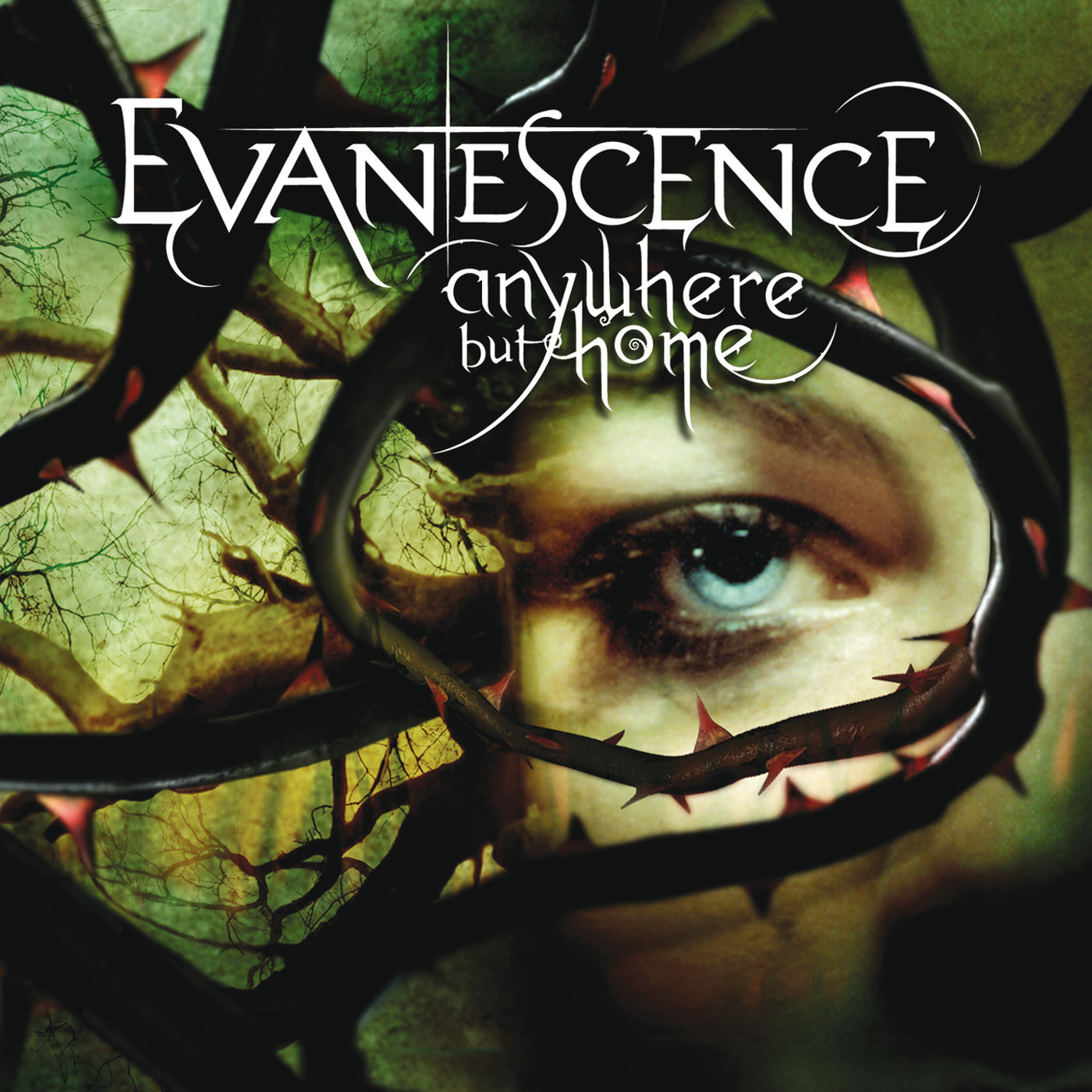 Evanescence – Anywhere But Home (Live)Ⓔ【44.1kHz／16bit】美国区-OppsUpro音乐帝国