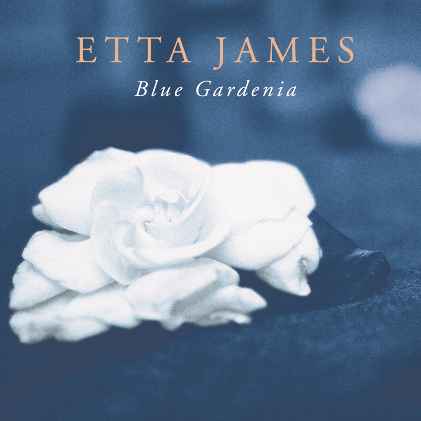 Etta James – Blue Gardenia【44.1kHz／16bit】英国区-OppsUpro音乐帝国