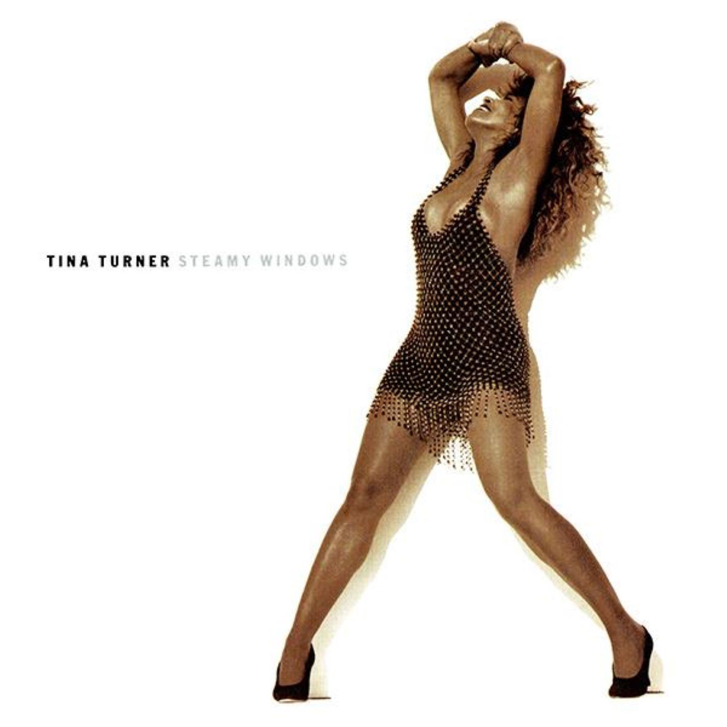 Tina Turner – Steamy Windows (The Singles)【44.1kHz／16bit】英国区-OppsUpro音乐帝国