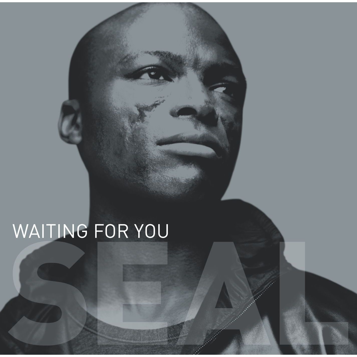 Seal – Waiting for You【44.1kHz／16bit】加拿大区-OppsUpro音乐帝国