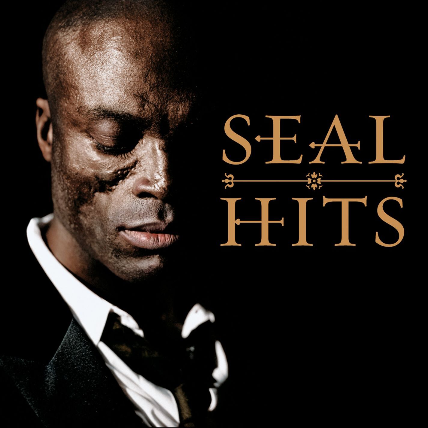 Seal – Hits【44.1kHz／16bit】加拿大区-OppsUpro音乐帝国