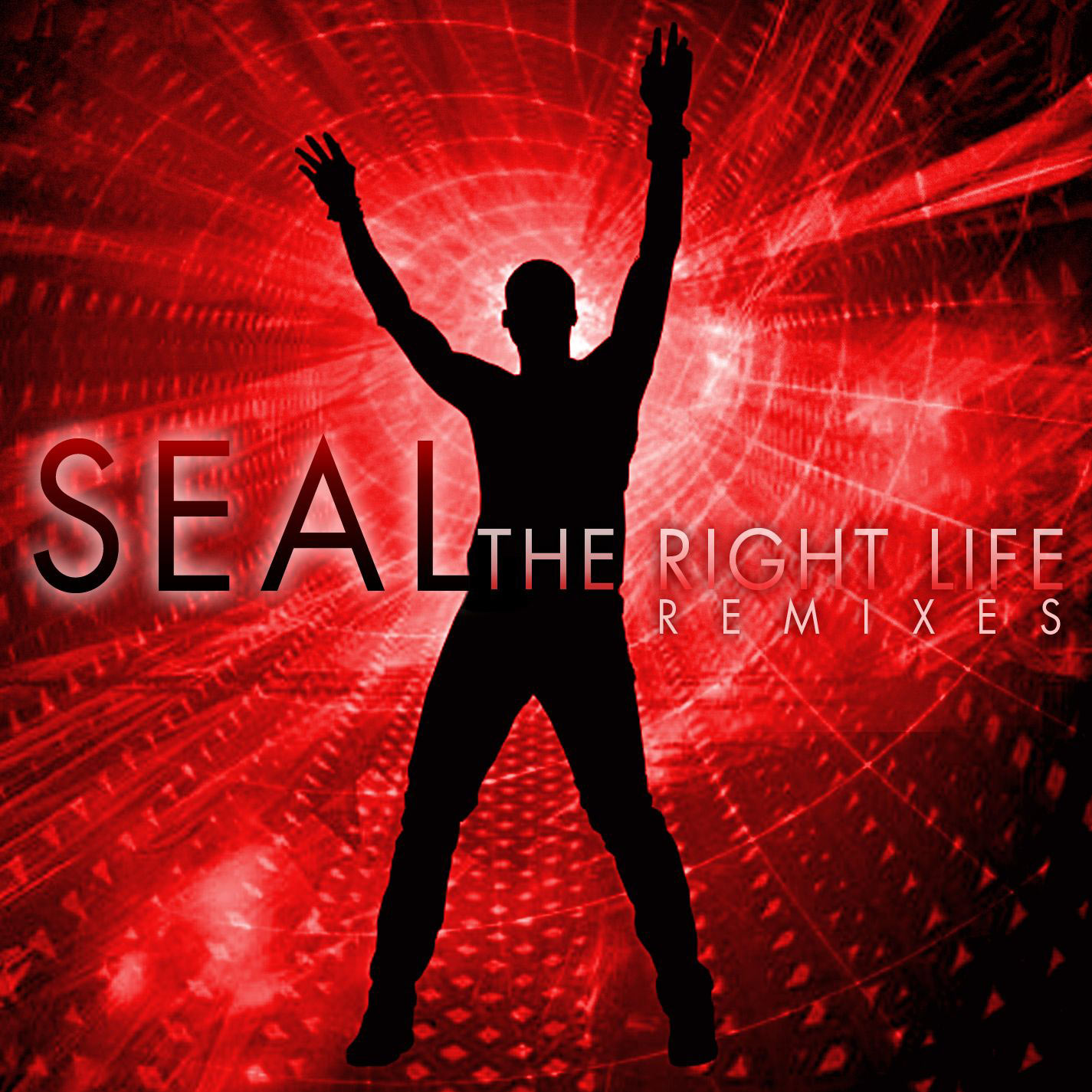 Seal – The Right Life (The Remixes)【44.1kHz／16bit】加拿大区-OppsUpro音乐帝国