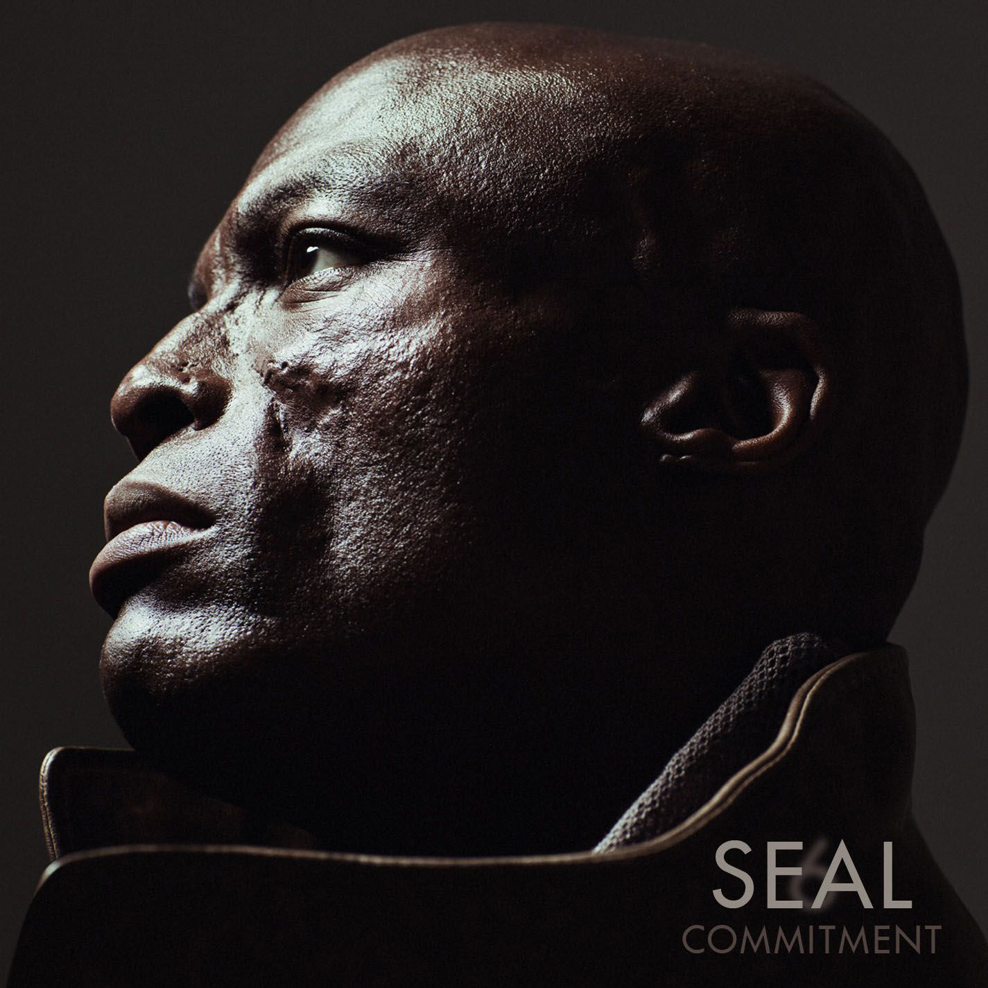 Seal – 6： Commitment【44.1kHz／16bit】加拿大区-OppsUpro音乐帝国