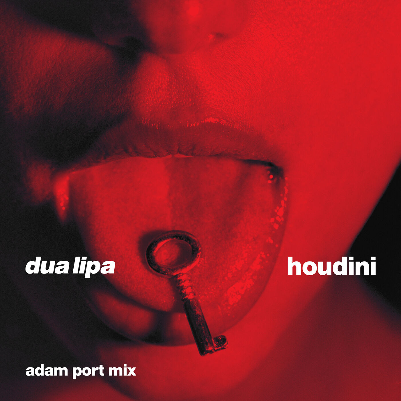 Dua Lipa – Houdini (Adam Port Mix)【44.1kHz／16bit】德国区-OppsUpro音乐帝国