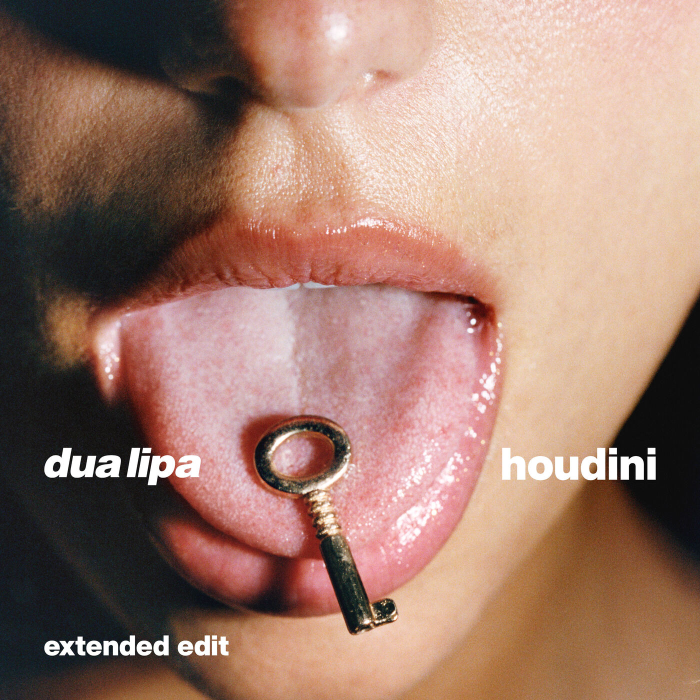 Dua Lipa – Houdini (Extended Edit)【44.1kHz／16bit】德国区-OppsUpro音乐帝国