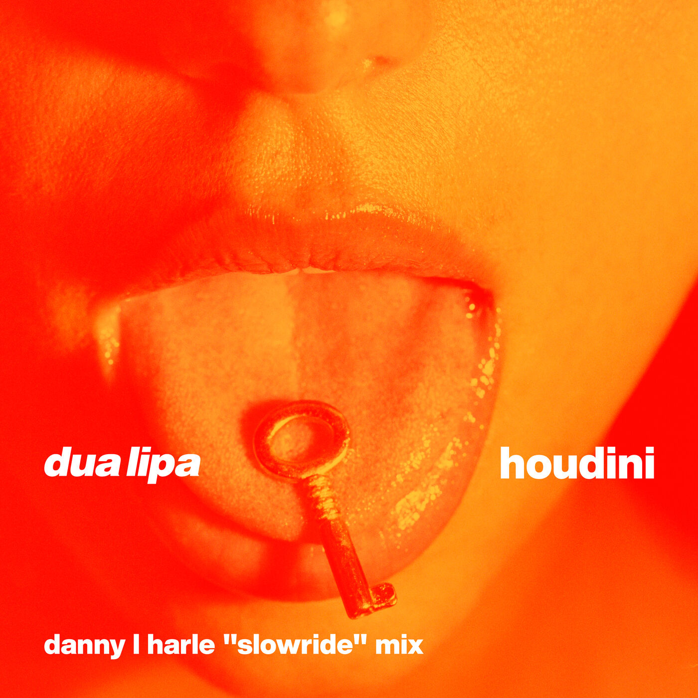 Dua Lipa – Houdini (Danny L Harle Slowride Mix)【44.1kHz／16bit】德国区-OppsUpro音乐帝国