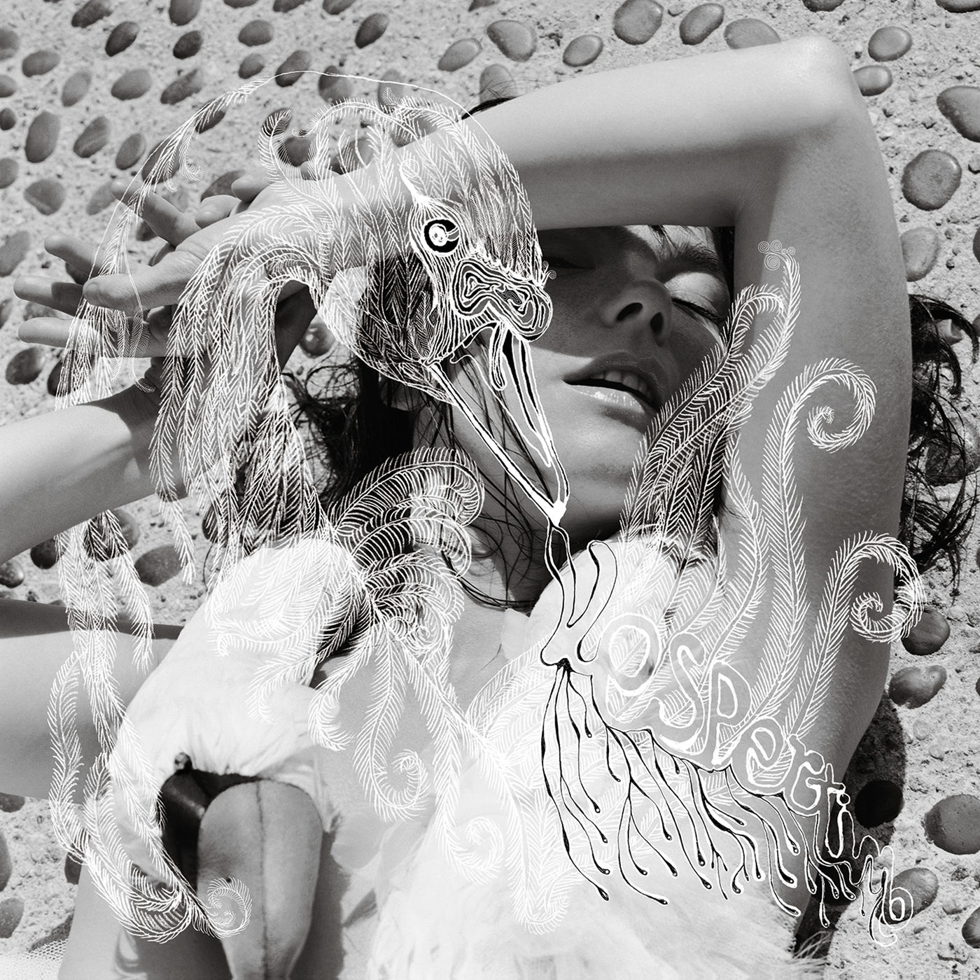 Björk – Vespertine【44.1kHz／16bit】澳大利亚区-OppsUpro音乐帝国