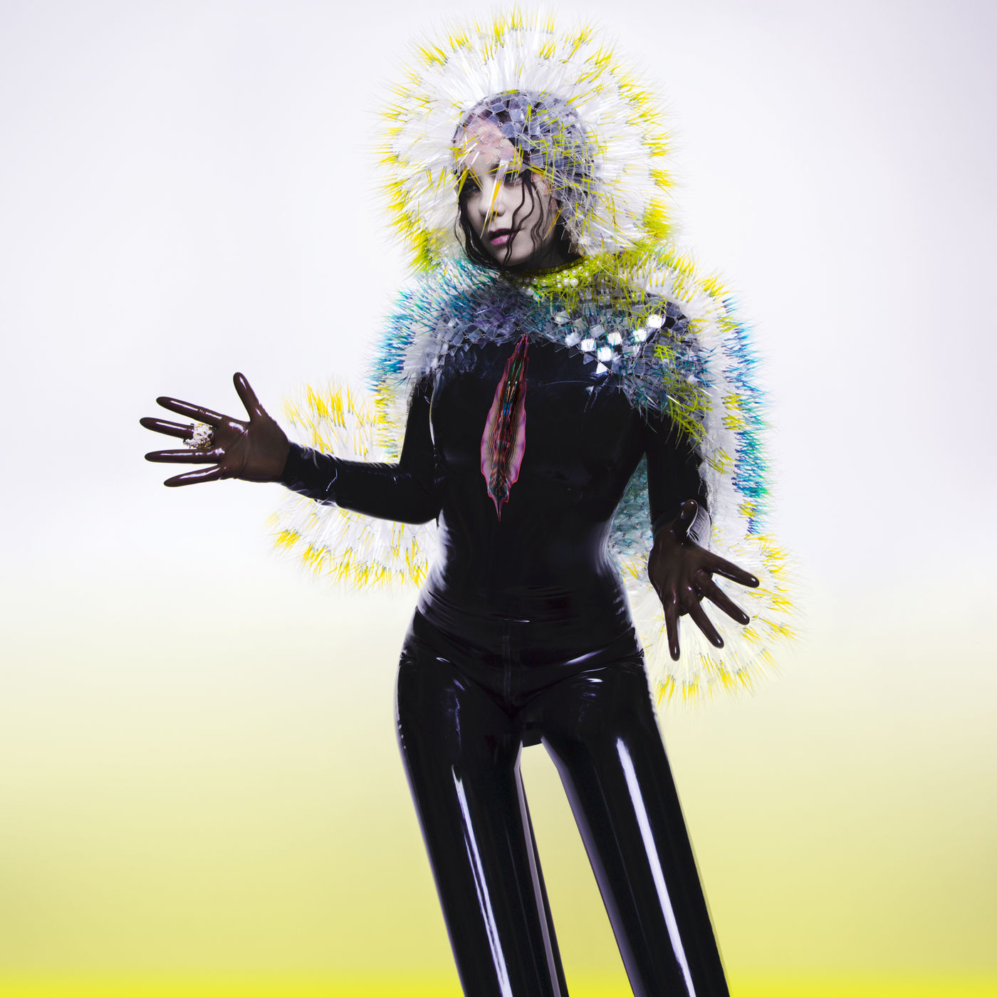 Björk – Vulnicura【44.1kHz／16bit】澳大利亚区-OppsUpro音乐帝国