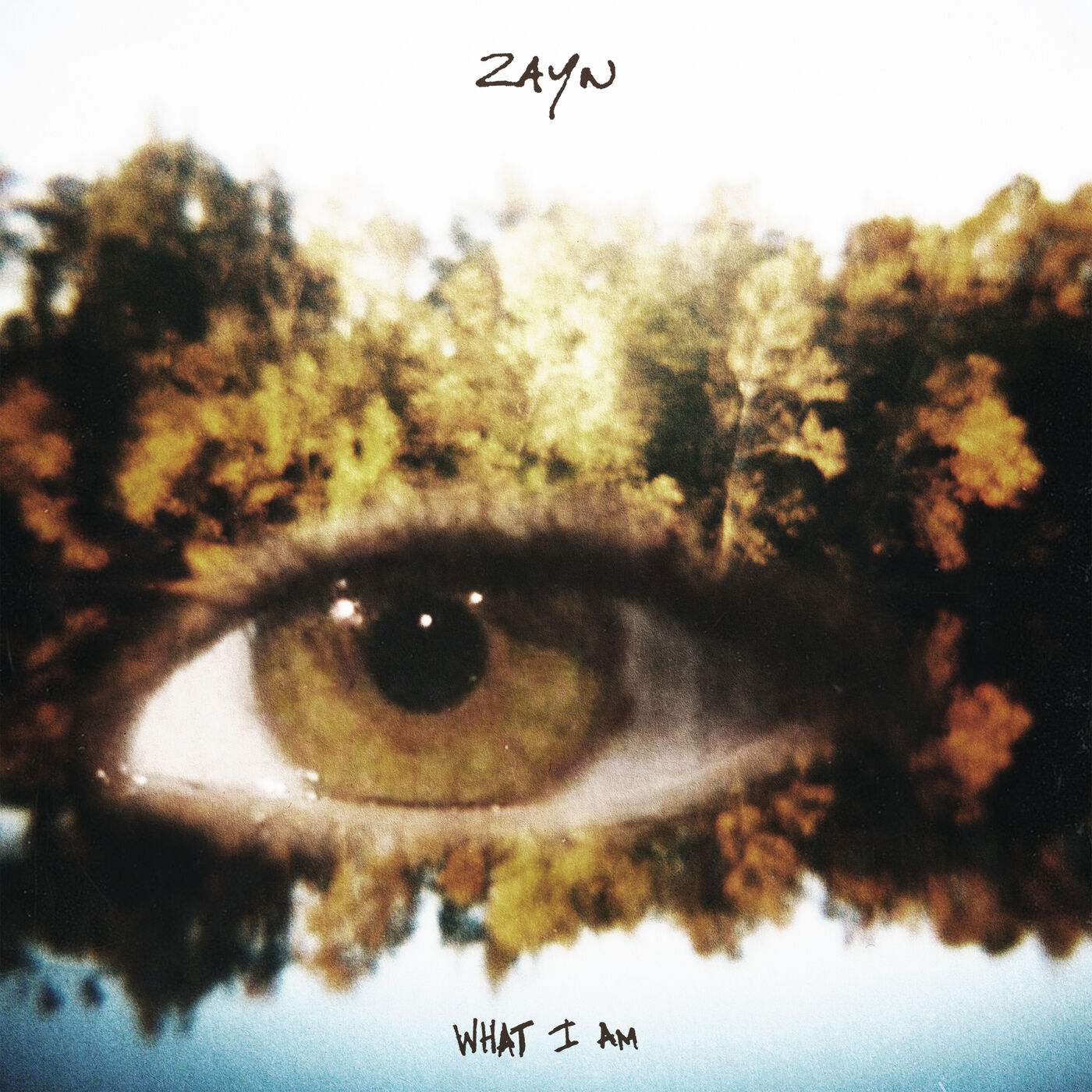 ZAYN – What I Am【44.1kHz／16bit】加拿大区-OppsUpro音乐帝国