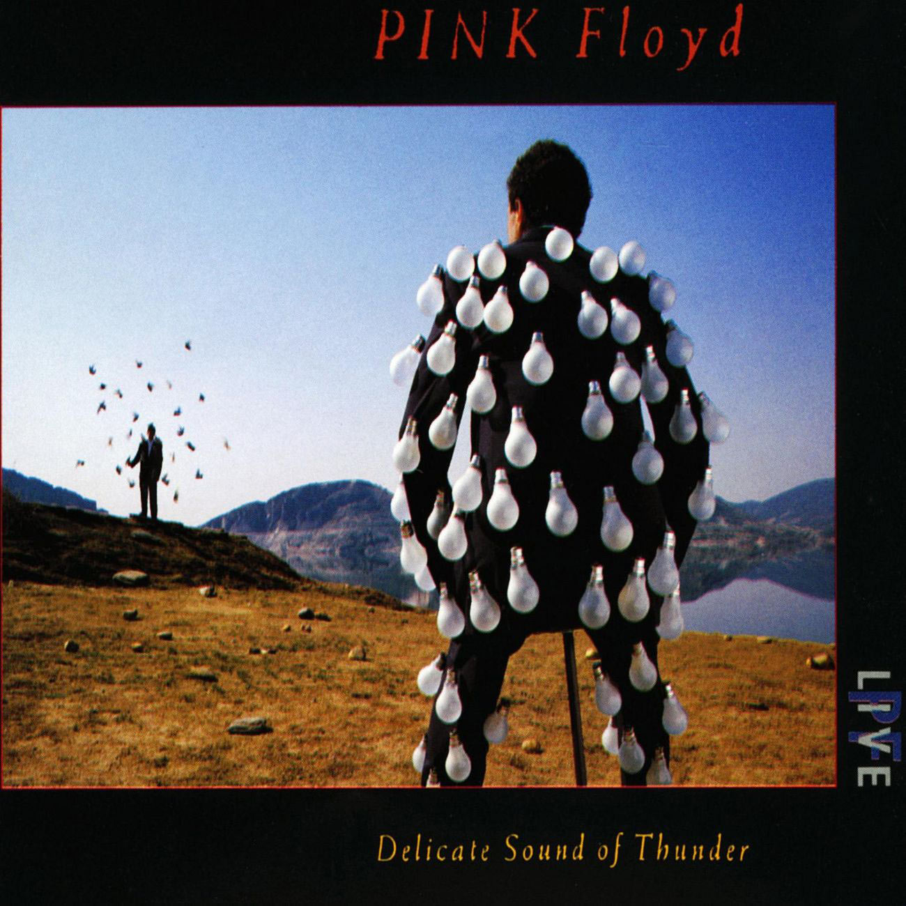 Pink Floyd – Delicate Sound Of Thunder (Live)【44.1kHz／16bit】法国区-OppsUpro音乐帝国