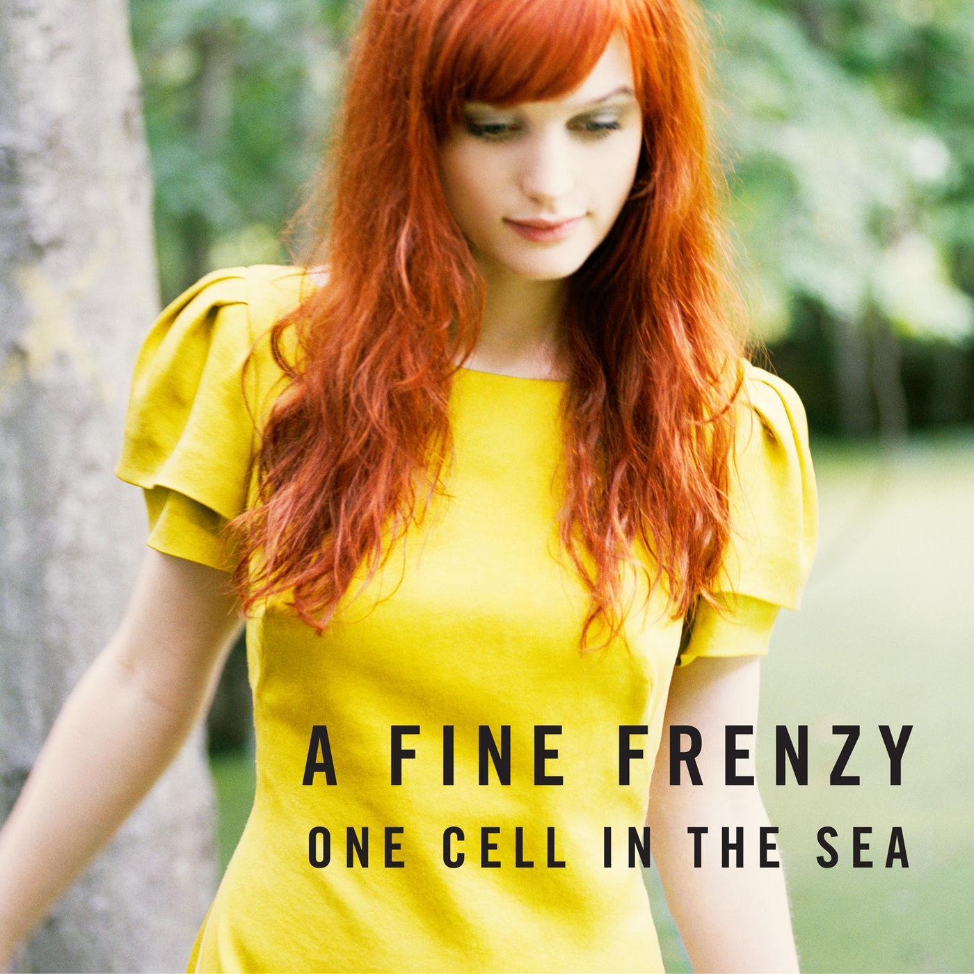 A Fine Frenzy – One Cell In The Sea【44.1kHz／16bit】新西兰区-OppsUpro音乐帝国