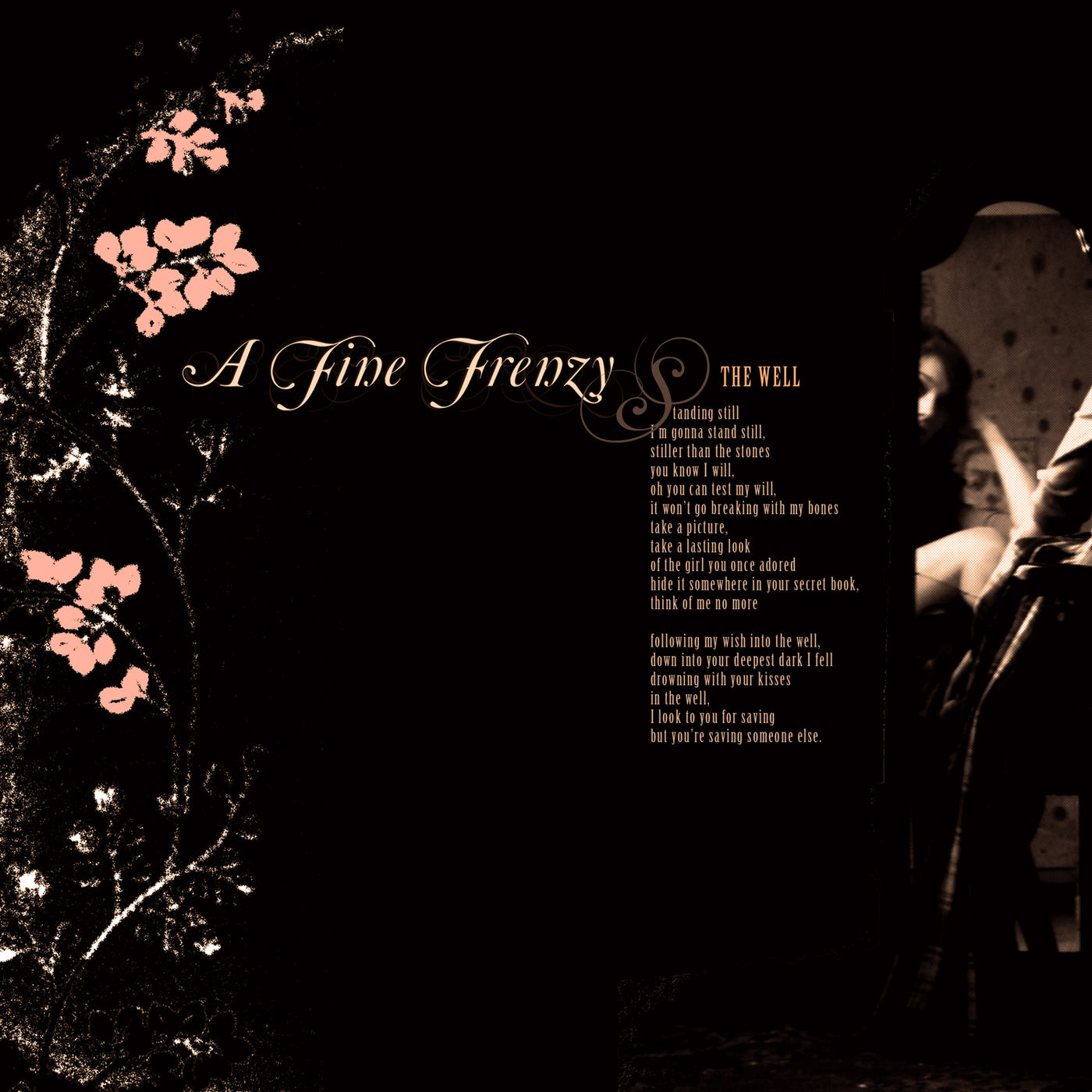 A Fine Frenzy – The Well (Demo)【44.1kHz／16bit】新西兰区-OppsUpro音乐帝国