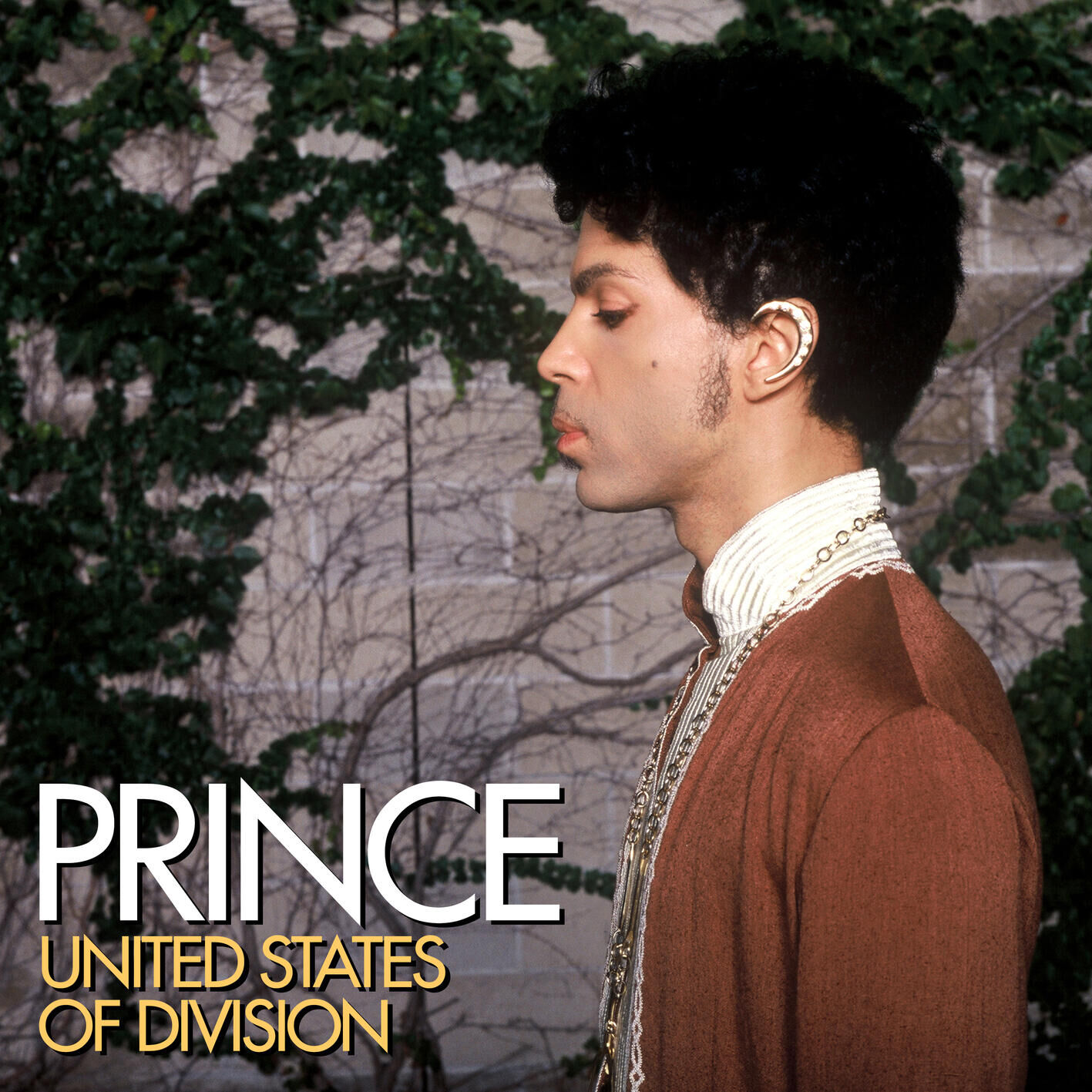 Prince – United States Of Division【48kHz／24bit】英国区-OppsUpro音乐帝国