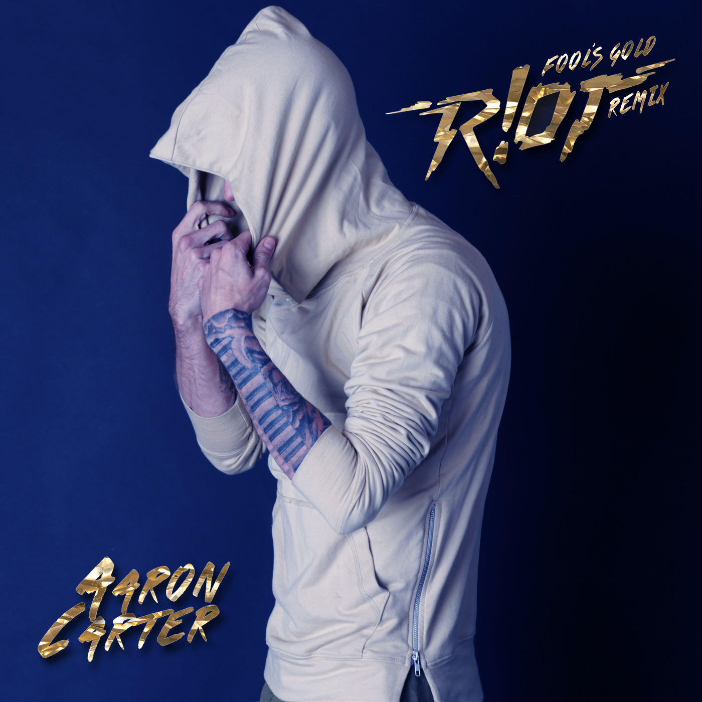 Aaron Carter – Fool＇s Gold (R!OT Remix)【44.1kHz／16bit】加拿大区-OppsUpro音乐帝国