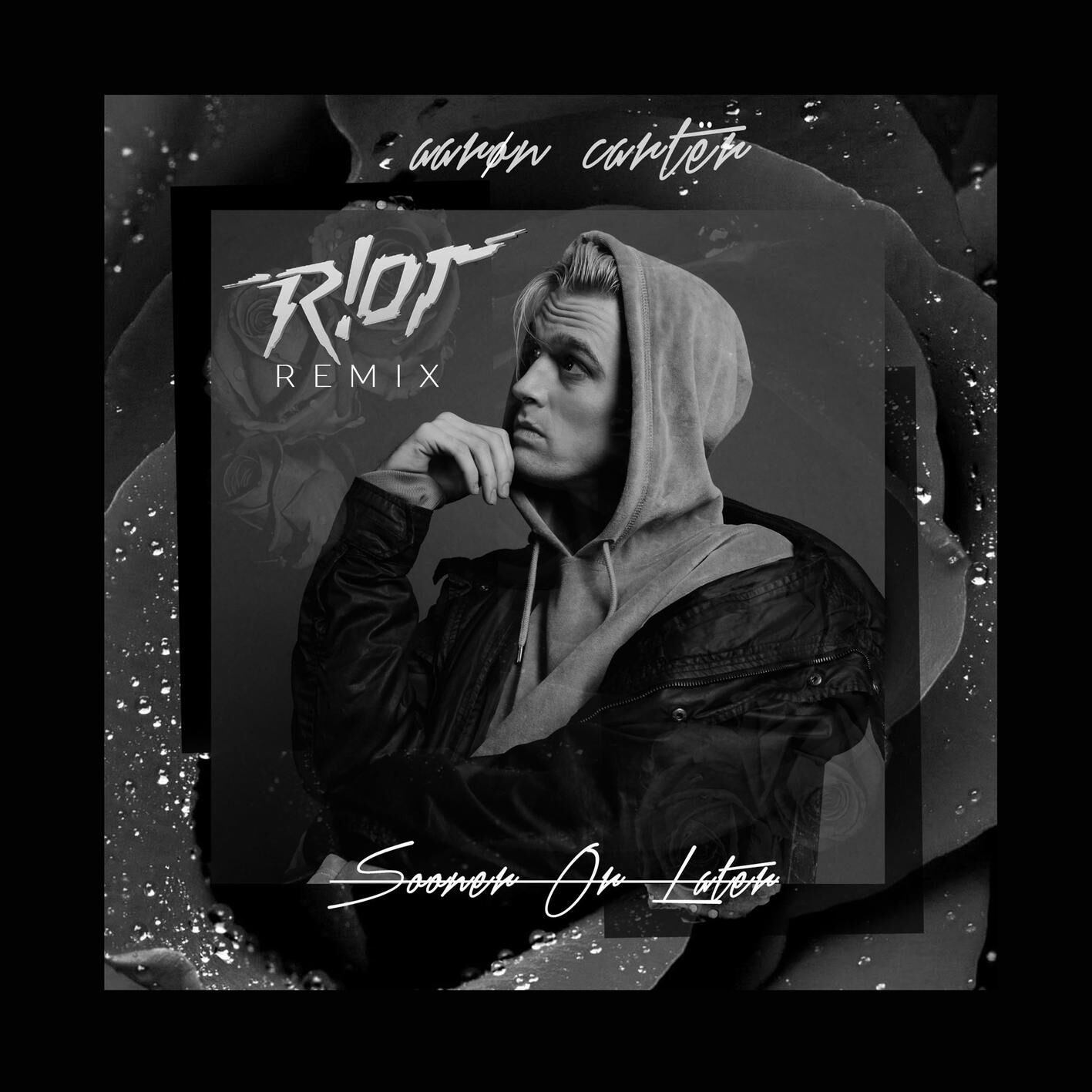 Aaron Carter – Sooner Or Later (R!OT Remix)【44.1kHz／24bit】加拿大区-OppsUpro音乐帝国