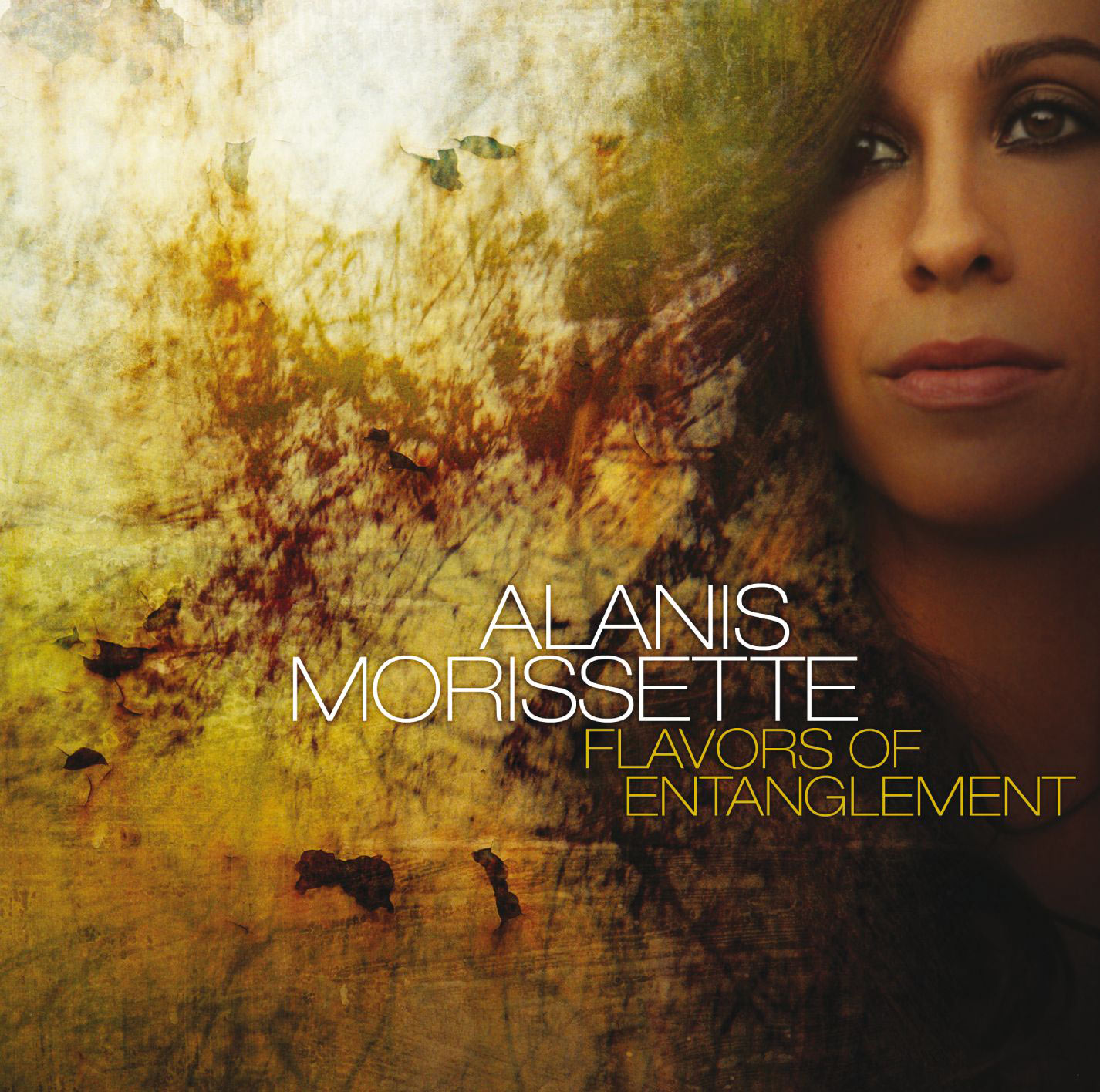 Alanis Morissette – Flavors Of EntanglementⒺ【44.1kHz／16bit】挪威区-OppsUpro音乐帝国