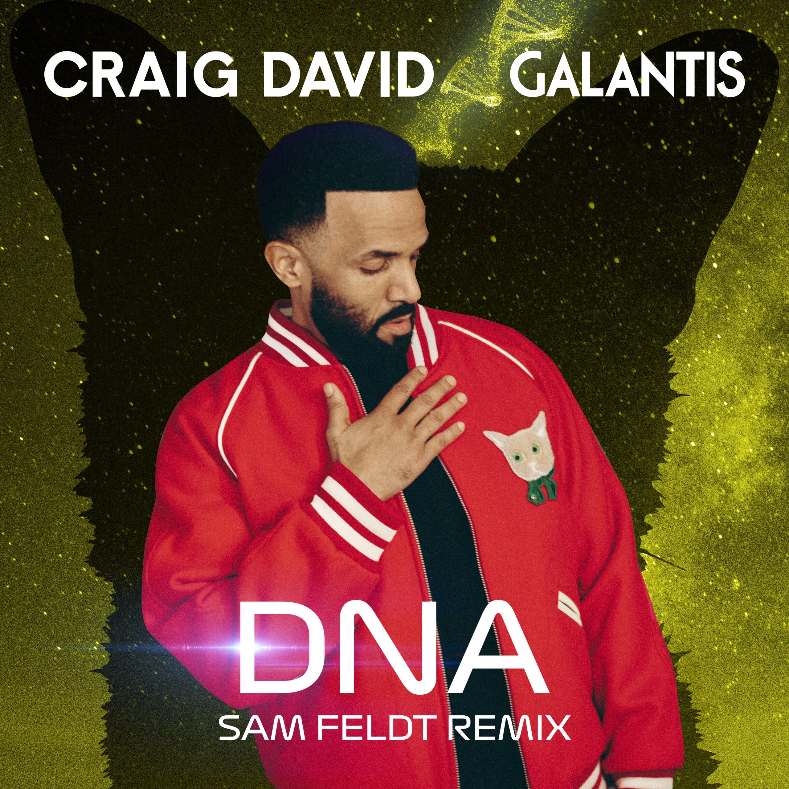 Craig David – DNA (Sam Feldt Remix)【44.1kHz／24bit】芬兰区-OppsUpro音乐帝国