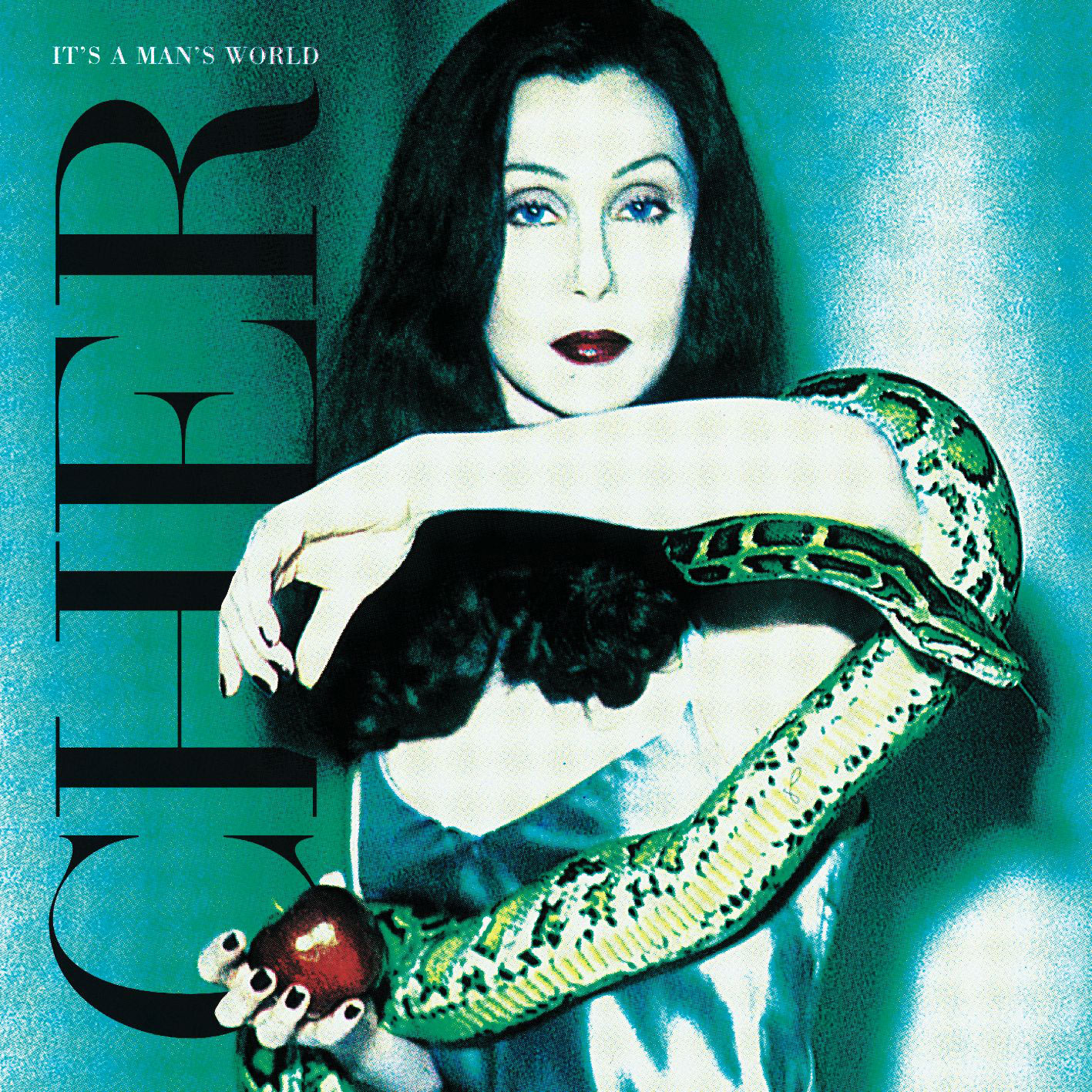 Cher – It＇s a Man＇s World【44.1kHz／16bit】西班牙区-OppsUpro音乐帝国