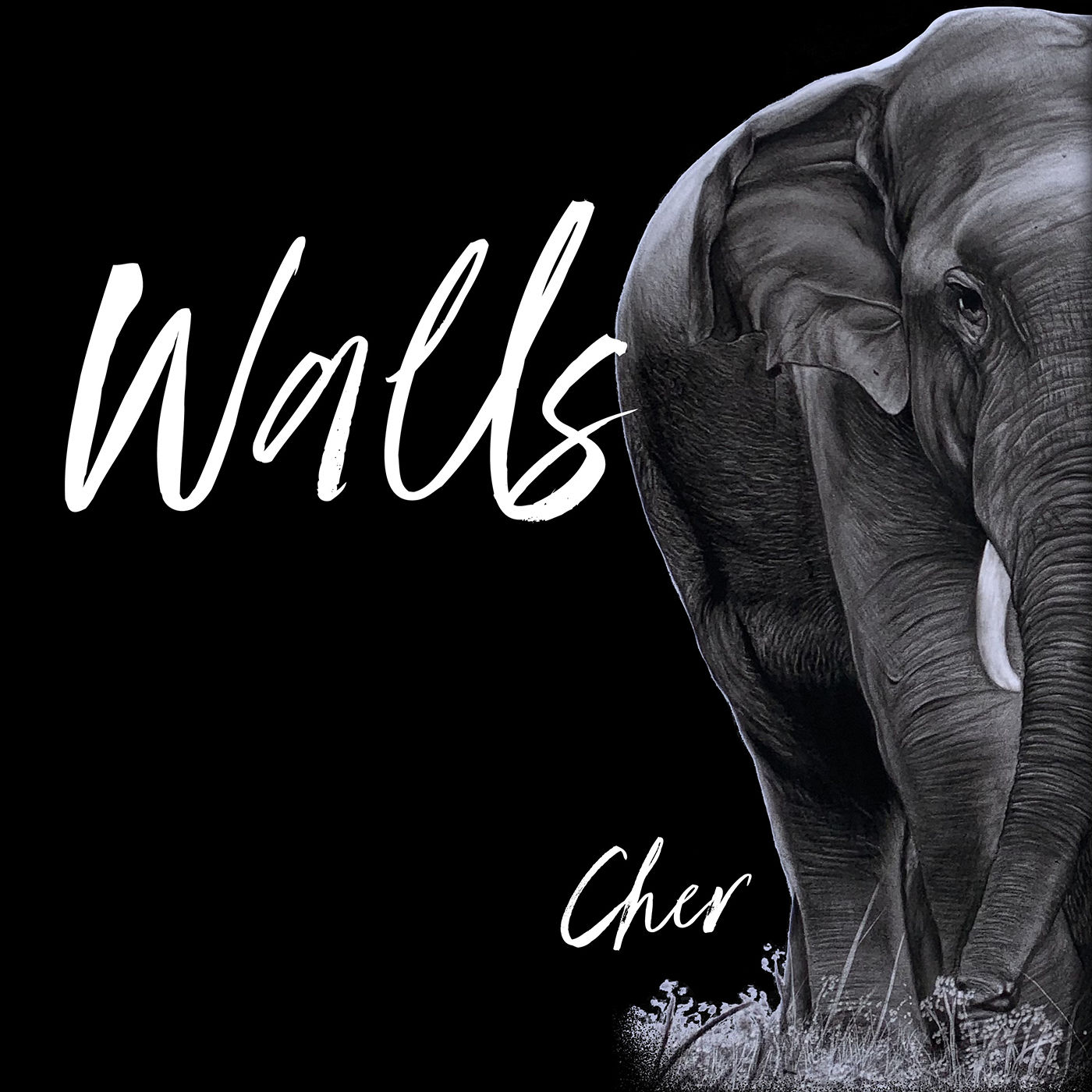 Cher – Walls【44.1kHz／24bit】西班牙区-OppsUpro音乐帝国