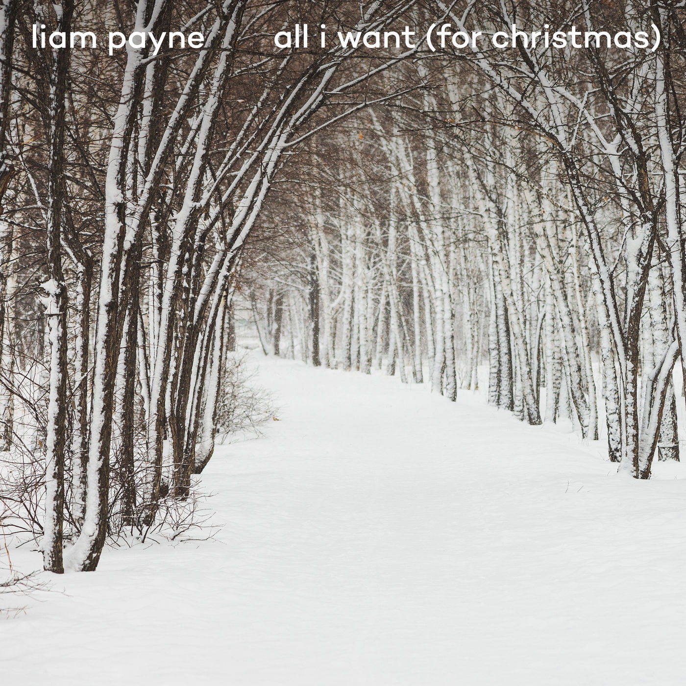 Liam Payne – All I Want (For Christmas)【44.1kHz／16bit】法国区-OppsUpro音乐帝国