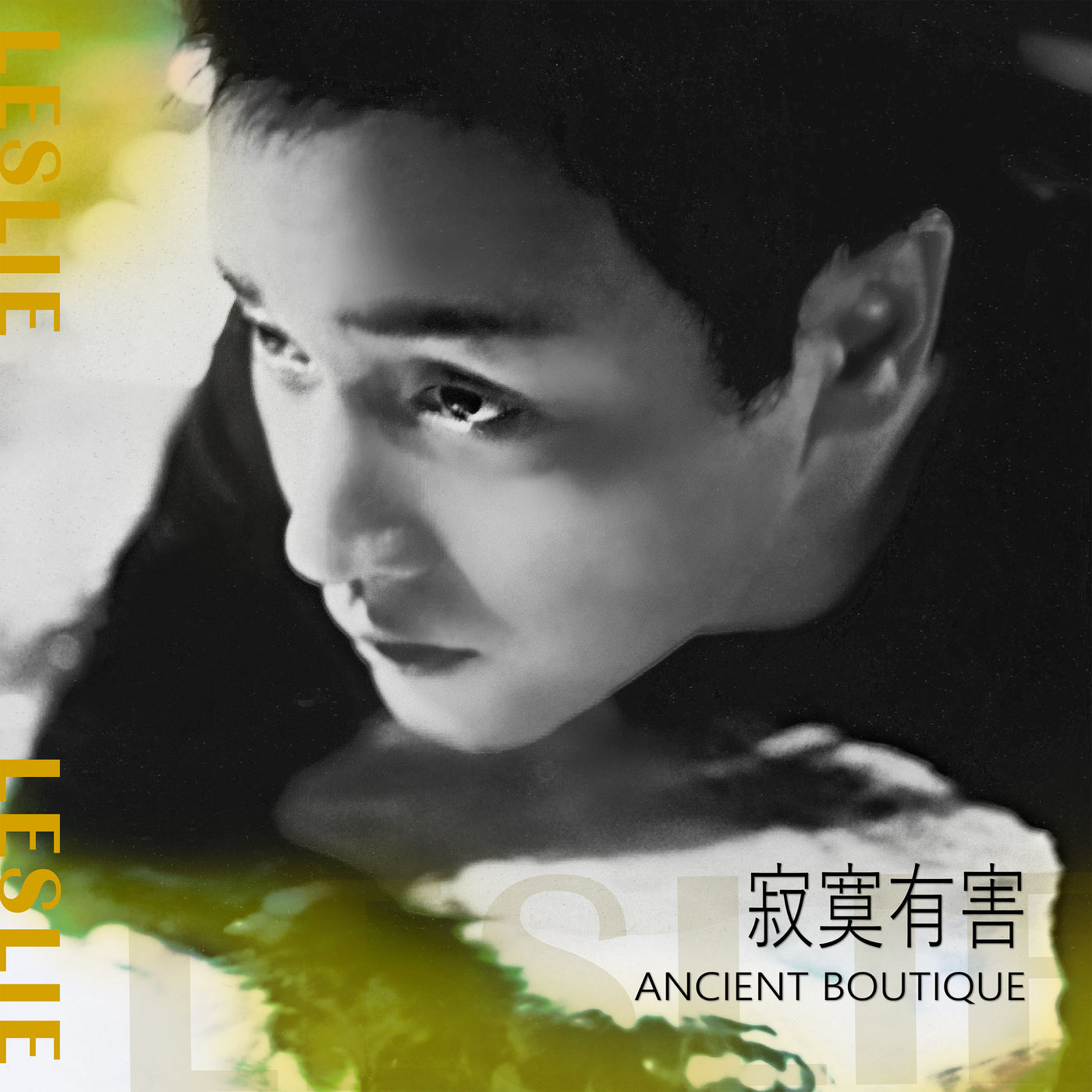 张国荣 – 寂寞有害 Ancient Boutique【44.1kHz／16bit】法国区-OppsUpro音乐帝国